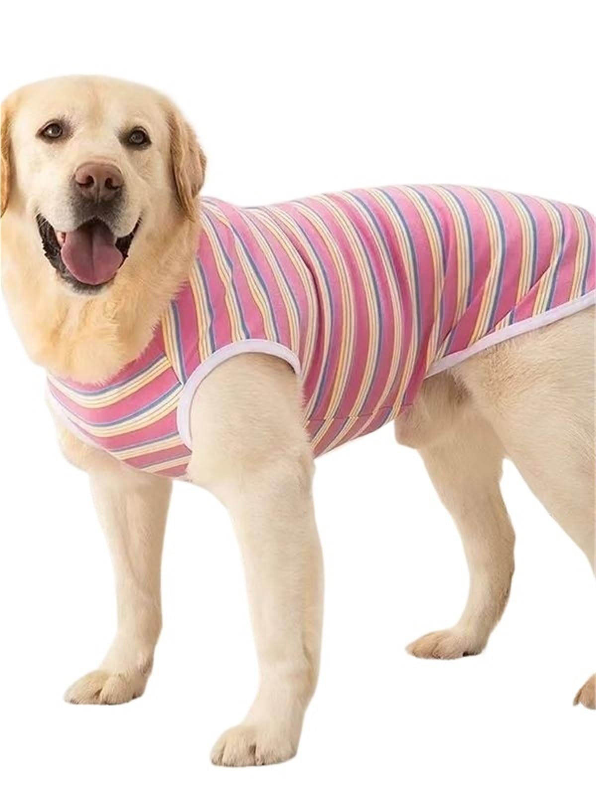Gilet sans manches pour chiens, le vêtement de maison idéal au salon
