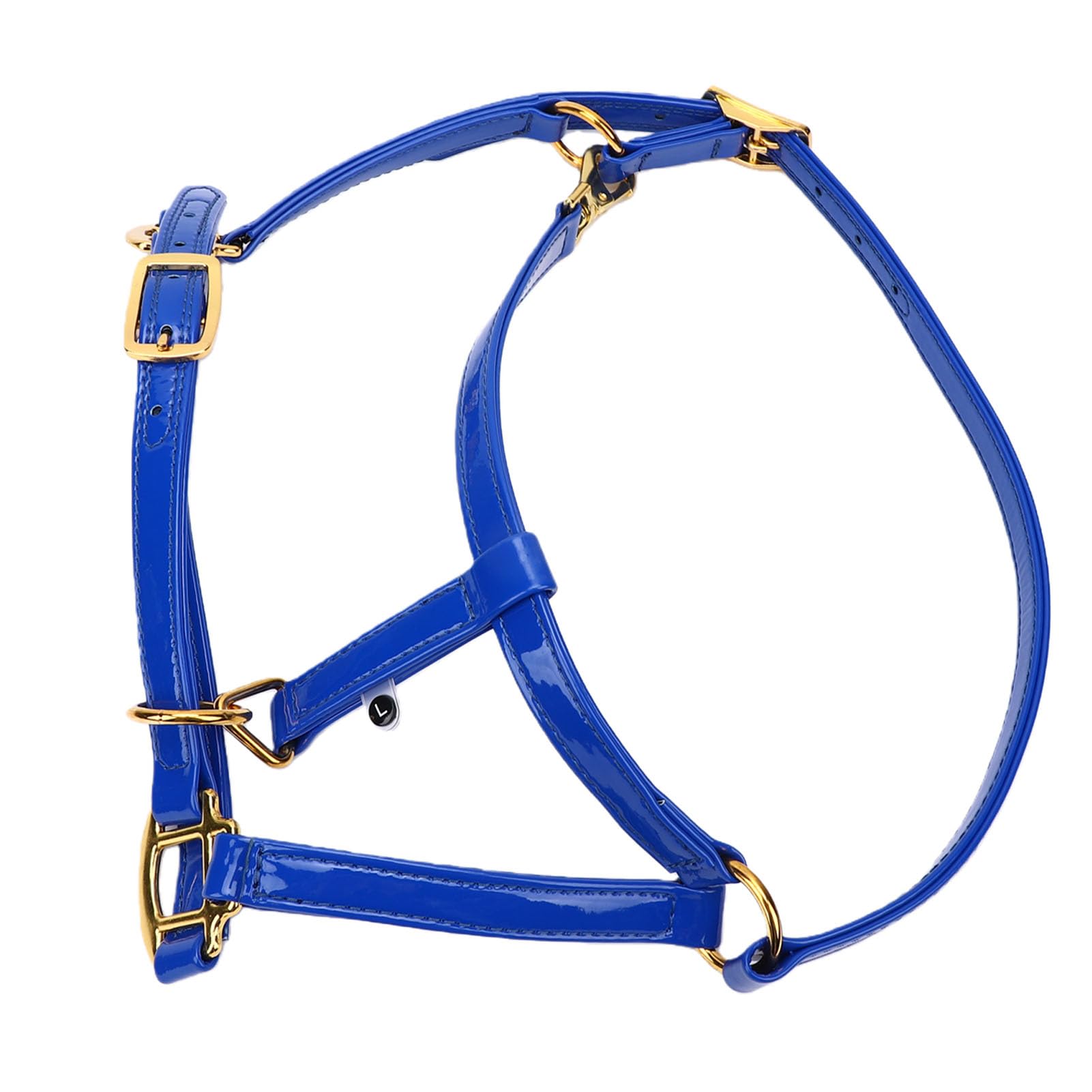 20mm Cavezza per Cavallo, Pelle Smaltata a Doppio Strato, | Finimenti per cavallo impermeabili, testiera facile da pulire, hardware placcato in oro per passeggiate su pista, cavezza