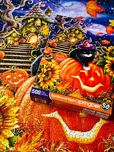 Springbok 34-01653 Spellbound Night - 500 Piece Jigsaw Puzzle- Black Cat thumb #3