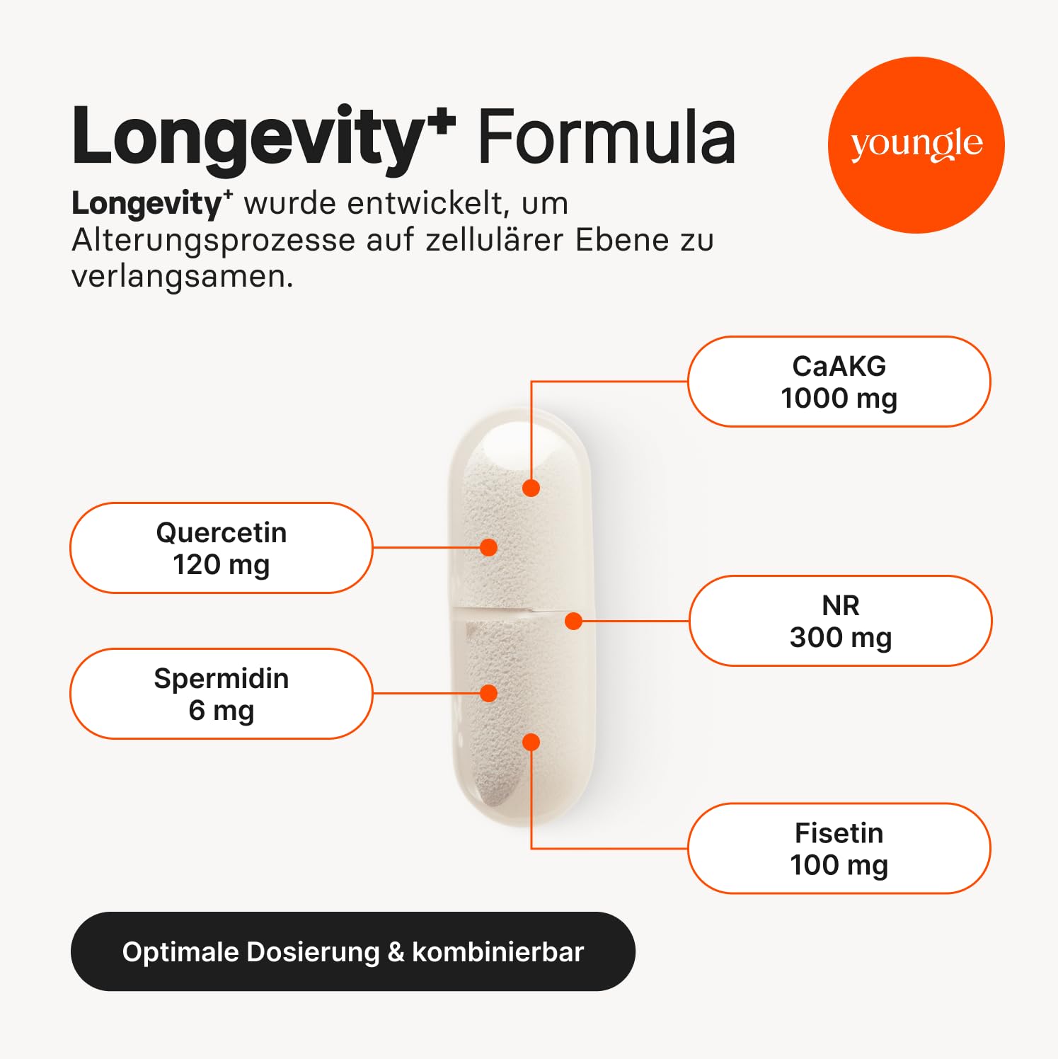 YTH+ Longevity Kapseln – Multi-Ingredient Anti-Aging Supplement mit Spermidin & Nicotinamid Ribosid – Longevity Pill mit Fisetin, Quercetin & Calcium Alpha-Ketoglutarat