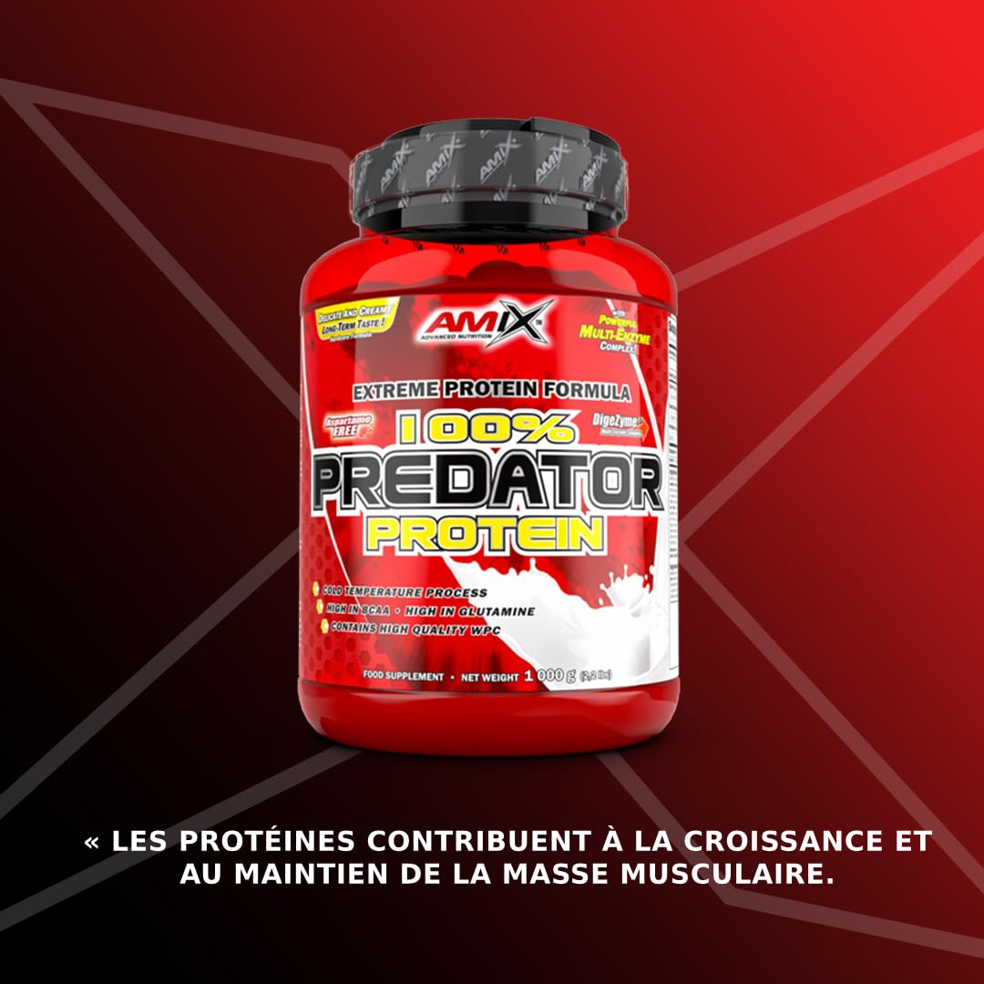AMIX Predator Protein - Complément Protéiné en Poudre pour Augmenter la Masse Musculaire - Protéine de Lactosérum avec Enzymes Digestives - Acides Aminés BCAA et L-Glutamine - Vanille - 1 kg
