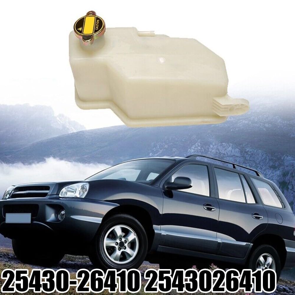 14) Serbatoio del serbatoio del liquido refrigerante del motore dell'automobile di precisione per Santa Fe