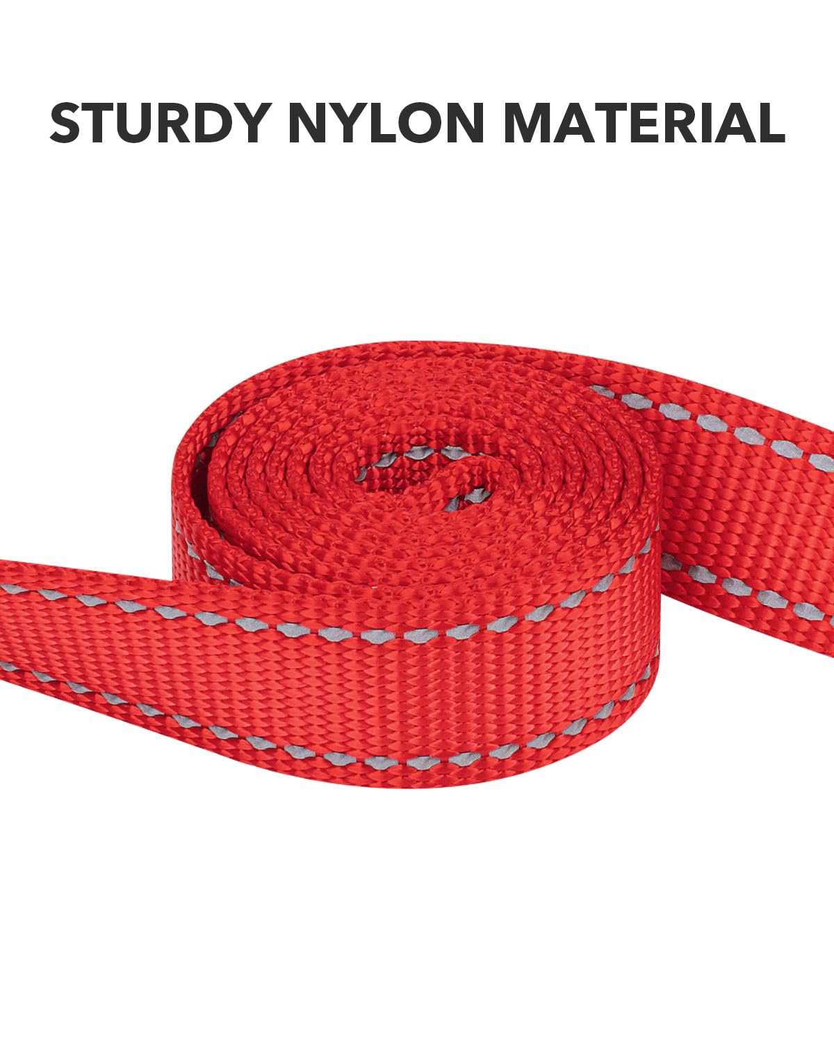Taglory Guinzaglio per Cani Riflettente con Manico Imbottito e Gancio in Metallo, Nylon Resistente Addestramento Cane Guinzaglio, 1.2 m x 2.0 cm, Rosso