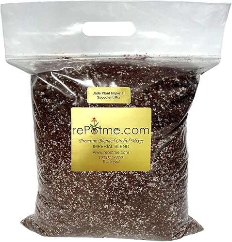 Miniatura 9 de rePotme Suelo suculento (bolsa estándar, cactus de Navidad)