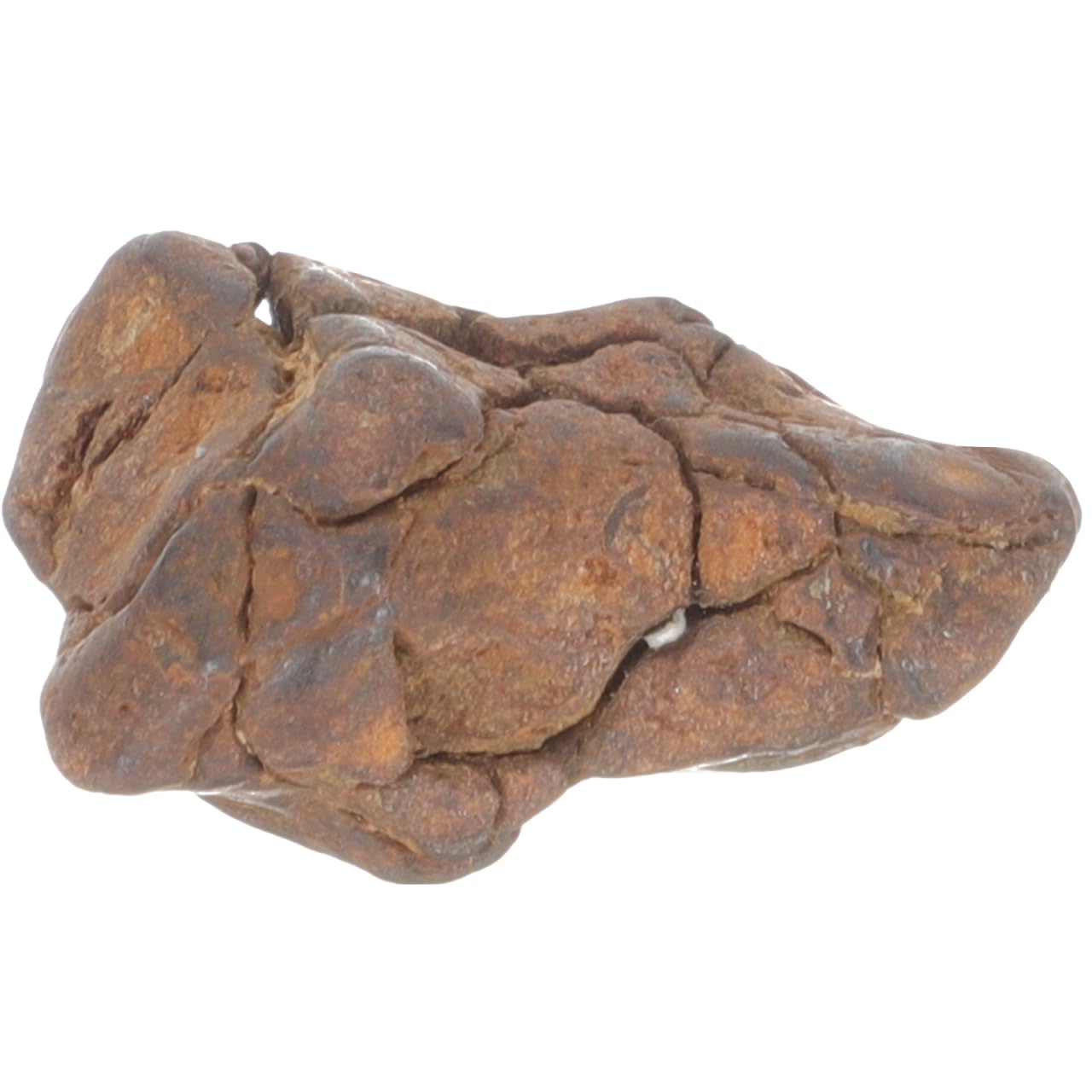 ABOOFAN Modelo De Meteorito Real 0.98X0.59X0.59In Muestra Científica Educativa para Oficina Aula Y Colección De Meteoritos para Niños