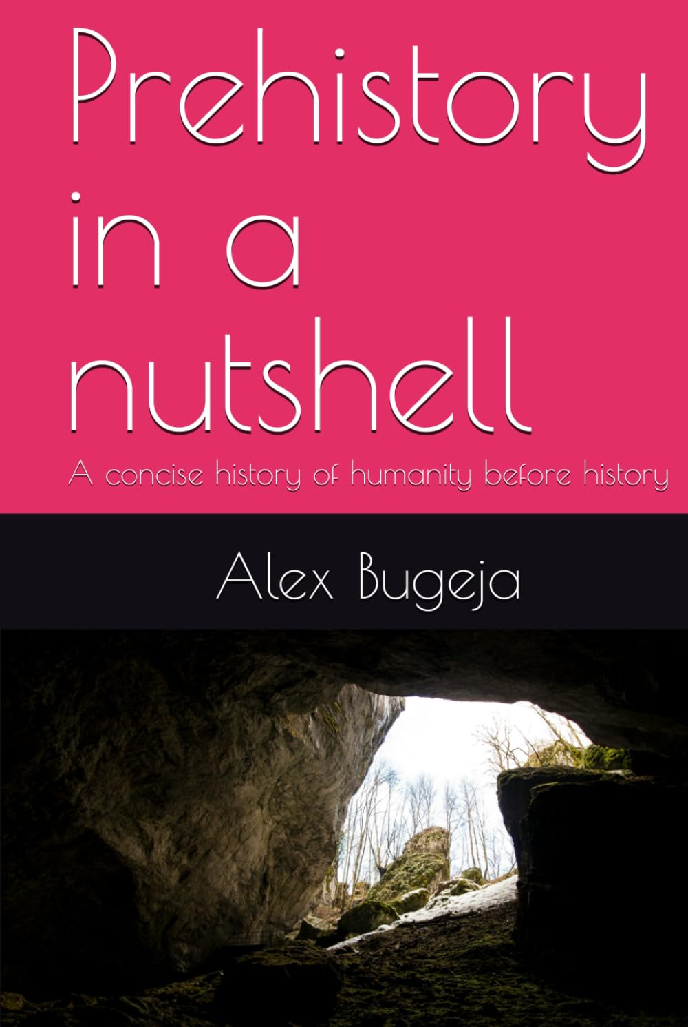 Prehistory in a nutshell: A concise history of humanity before history
