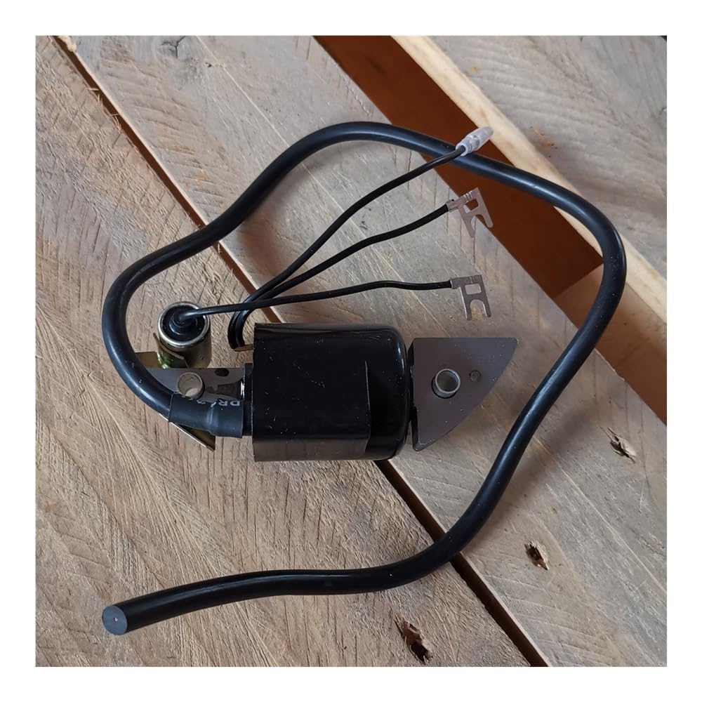Bobine d'allumage pour G150 G200 G300 et moteurs F400 F500 F600
