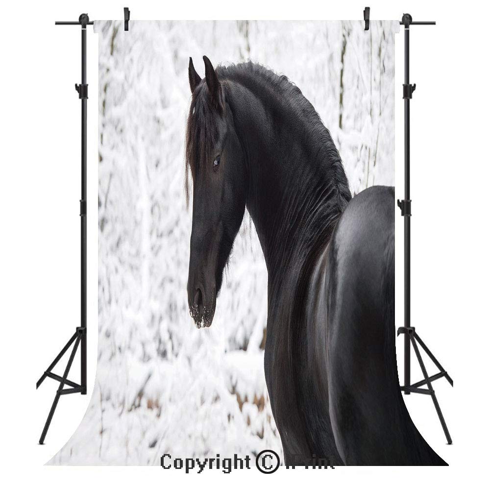Equestrian Decor Photography Backdrops,Black Friesian Sport Horse Portrait on Snowy Winter Background Novelty Picture,Birthday Party Seamless Photo Studio Booth Background Banner 6x9ft,White