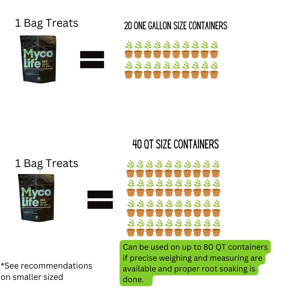 MycoLife 5X Highly Concentrated Mycorrhizal Inoculant Root Stimulator/Enhancer. Get Access to More nutrients, Healthier Plants and Better Crops! - Image 4