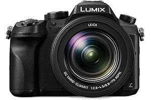 Panasonic LUMIX FZ2500 4K LEICA Lens Point and Shoot Camera