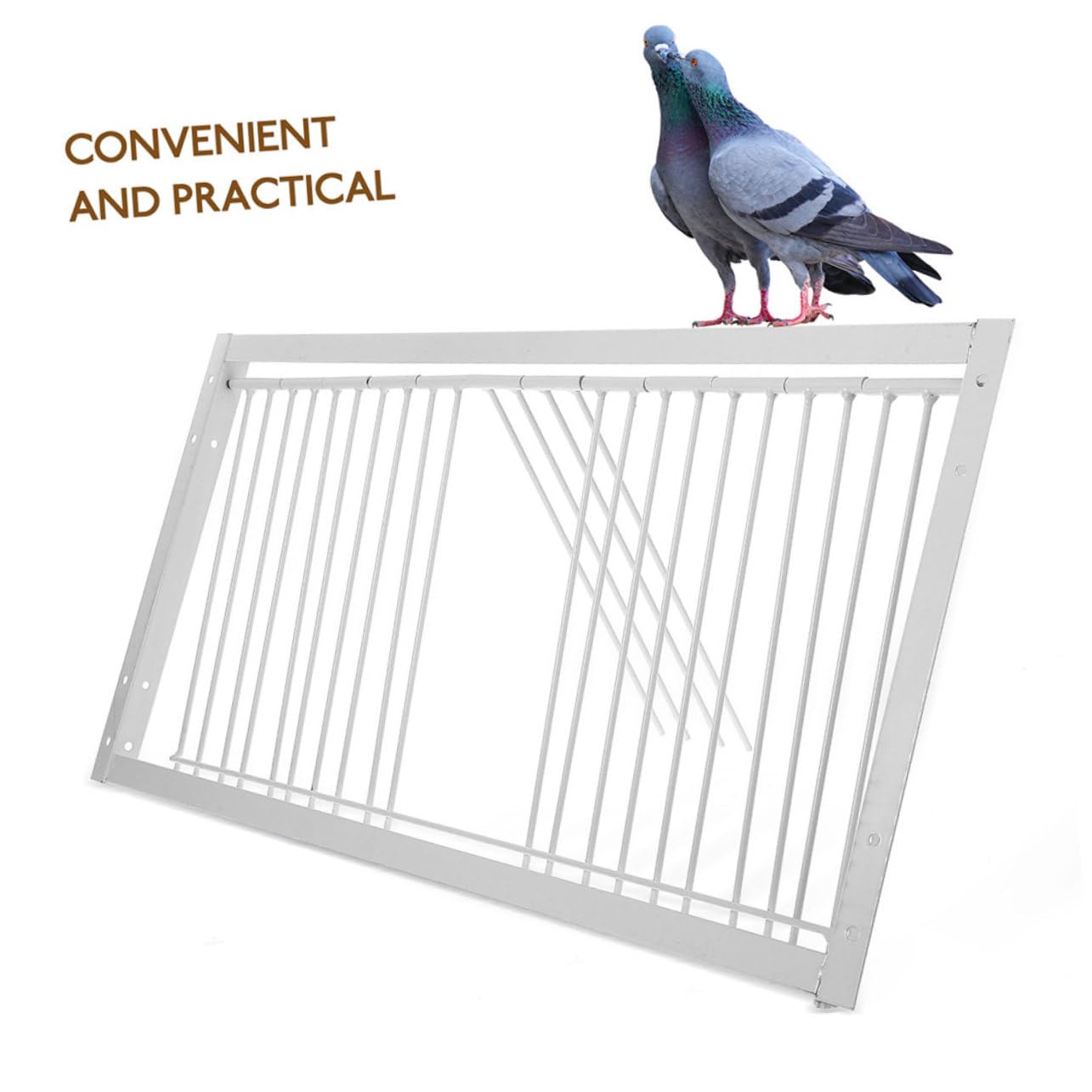 VANZACK Pigeon Cage Door Replacement 2 Pack Bird Door for Pigeon Racing Iron Construction for Competitive Jumping Events