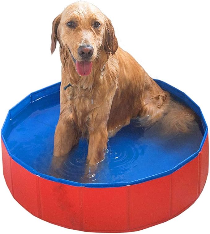 Big Dog Bath Tub, Golden Retriever Bath Barrel Folding