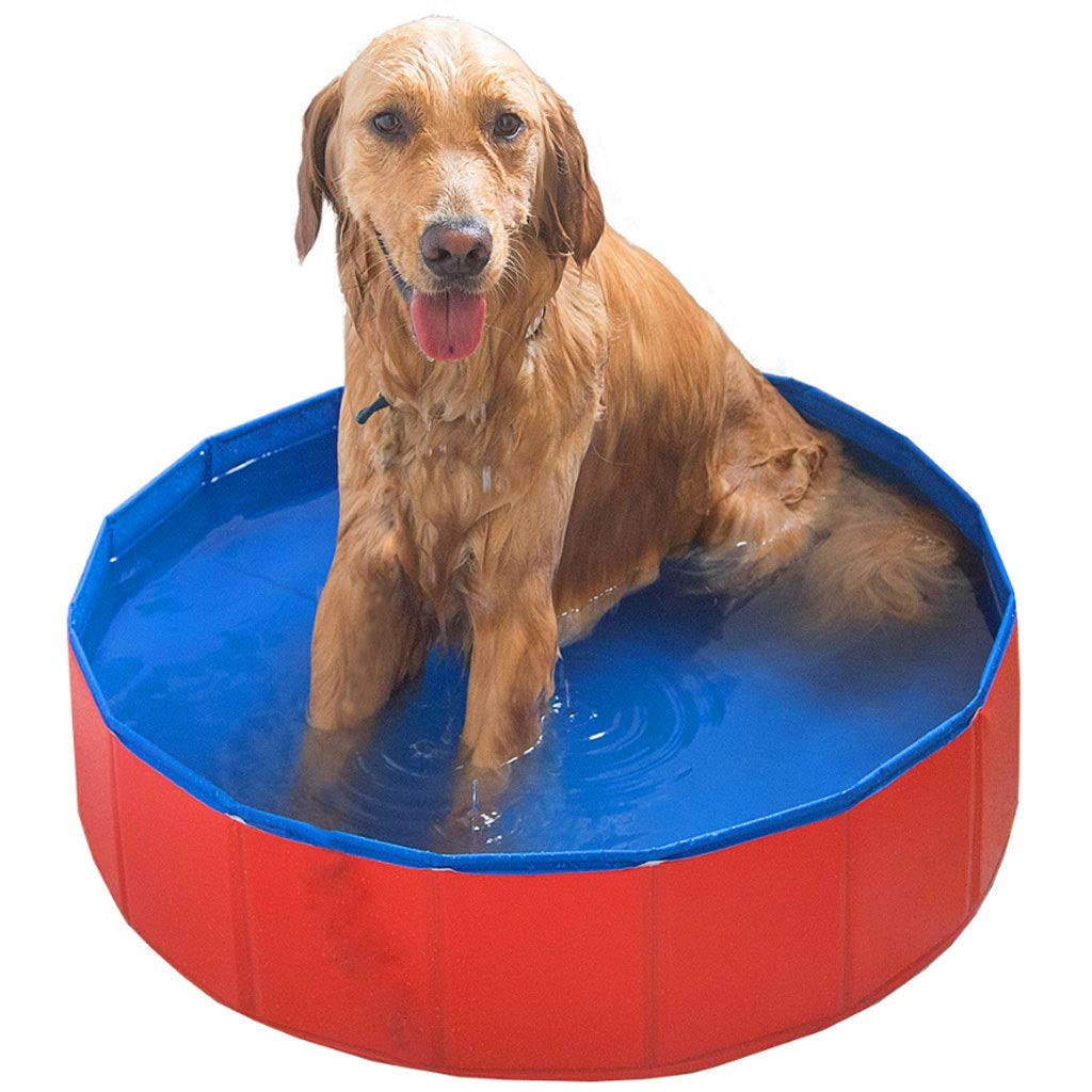 Big Dog Bath Tub, Golden Retriever Bath Barrel Folding Swimming Pool