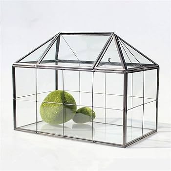 テラリウム　ディスプレイ用BOX 610yq7GiLiL._UF350,350_QL80_.jpg