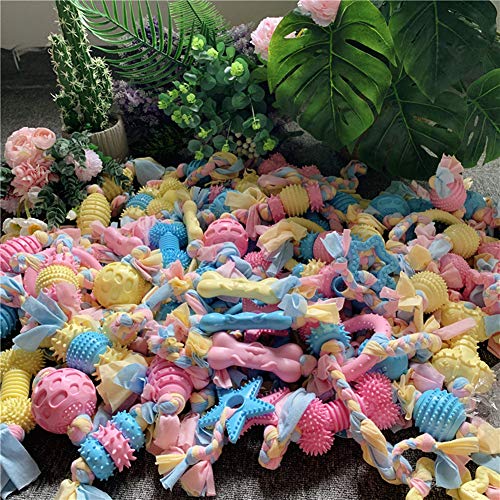 Hanbby Giochi per Cani Giochi Cuccioli Cane Cane