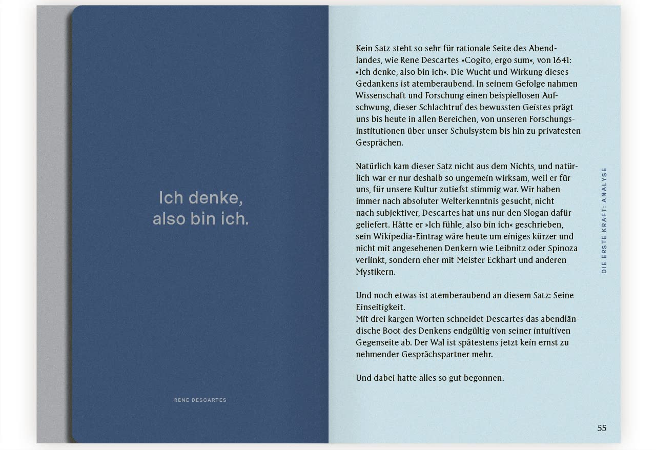 Echtzeit: Die Kunst, intuitiv zu denken