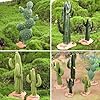 EOIVSH Desert Animal Figurines Set with Model Cactus - Artificial Greenery Plant Fake Cacti - Desert Diorama Project - Great for Sand Table Landscape Scene Accessories Decoration #5