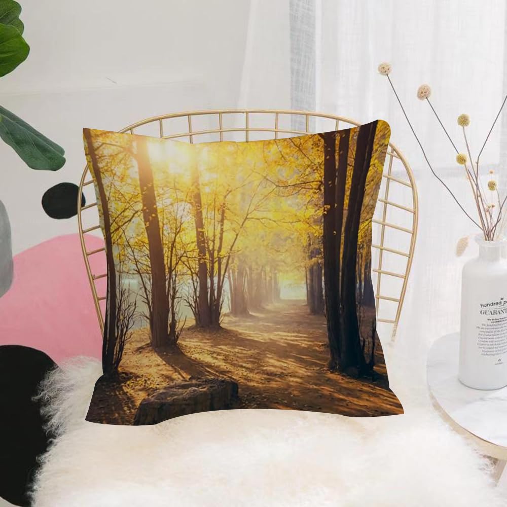 HYOSXW Cushion Cover,Throw Pillow Case Home Decorative for Living Room Bedroom Sofa Chair 16X16 Inch,A forest path in autumn, bathed in sunlight.,Pillowcase 40X40cm
