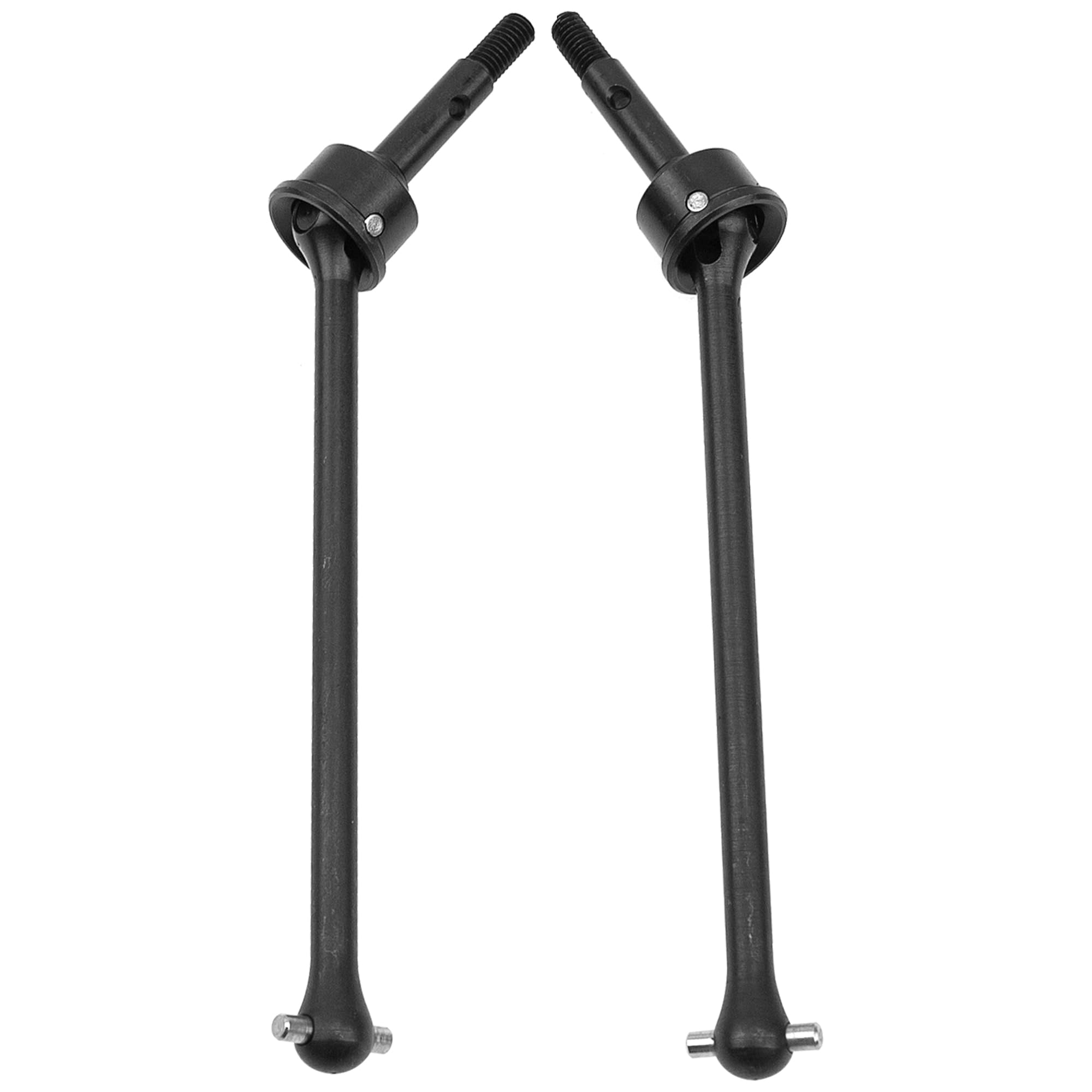 Dirty Dog ステム IMG_3031_1800x1800.jpg?v=