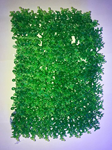 Velma Prato Sintetico 24CMx16CM