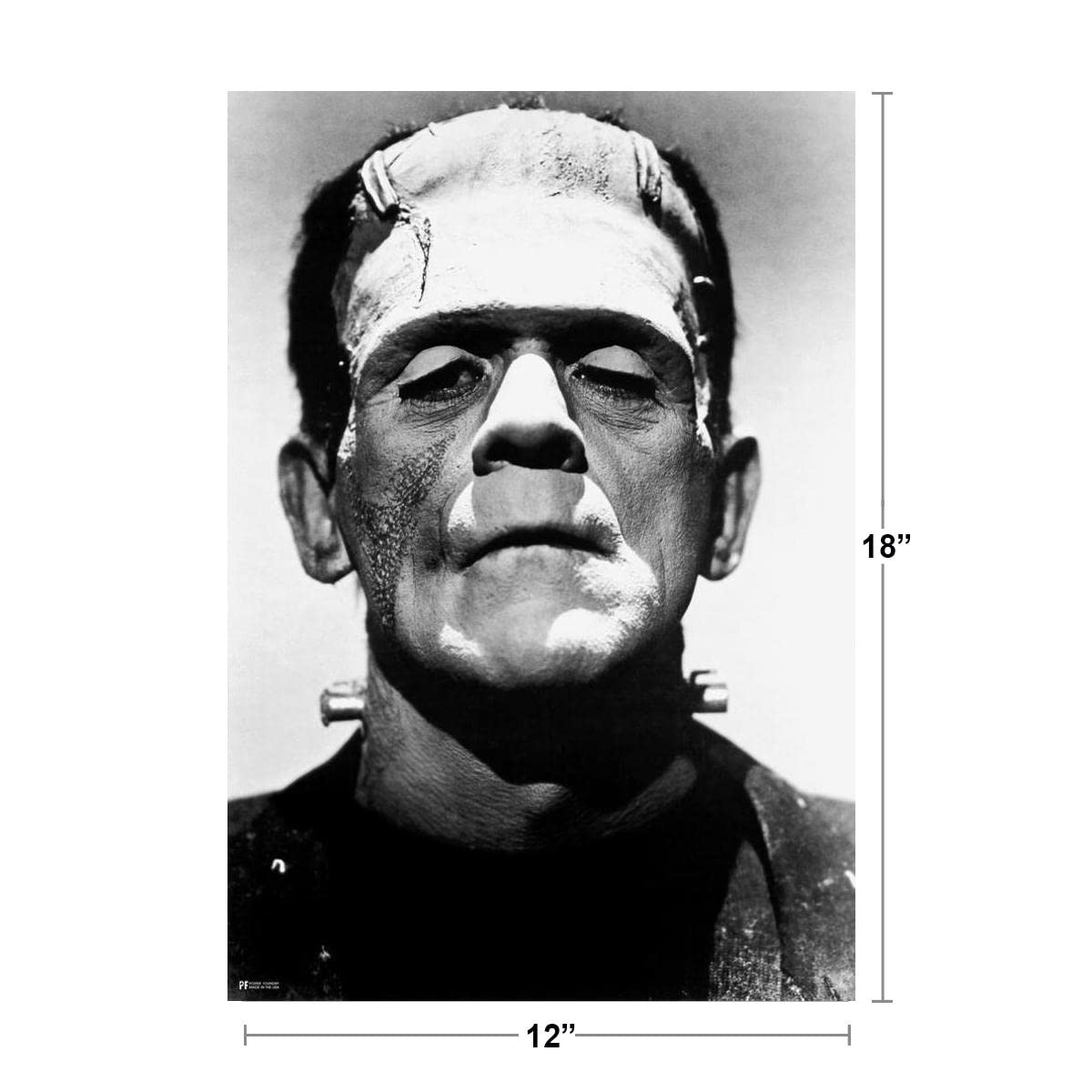ビンテージ フランケンシュタイン ブラックライトポスター フランケン ホラー ビンテージ 1973 フランケンシュタイン ブラックライトポスター