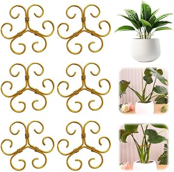 hoehew 6-Pack Monstera Plant Support, Durable Plant Stem Support for Healthy Growth, Stable Monstera Stabilizer Grapple Holder, Easy-to-Use Outdoor & Indoor Growing Climbing Plant Care 6PC B