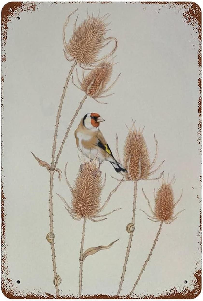 Nuboxx Tin Sign Goldfinch On Teasels Bird Funny Vintage Tin Sign Wall Decor Vintage Design Home Bedroom Wall Decor Gift 8X12 Inches