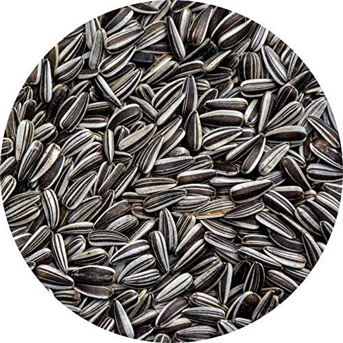 AquaNature Sunflower Seed Bird Food (2kg) (B07RR94KDX) Amazon Price History, Amazon Price Tracker