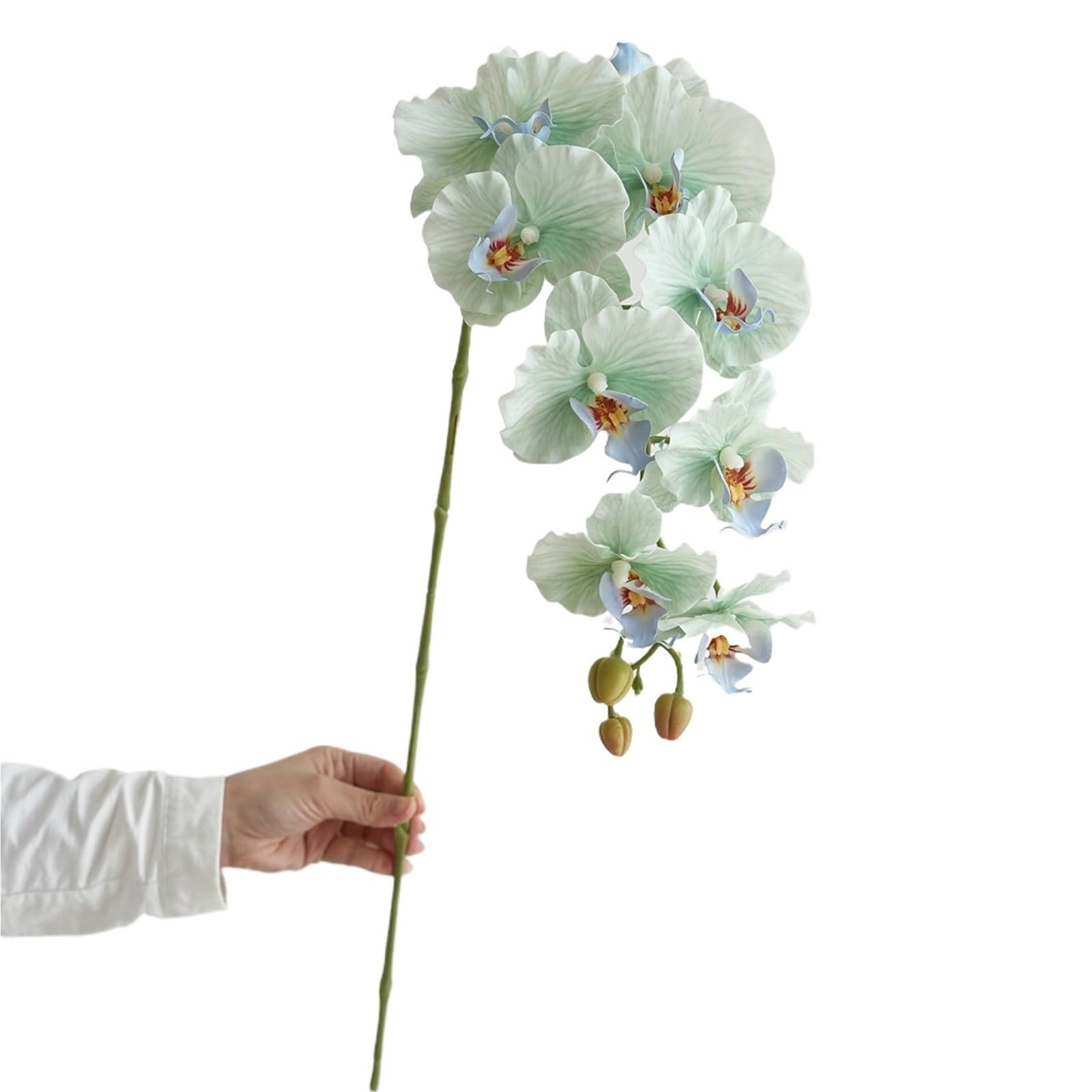 FonHNDG Artificial Flower Branches Artificial Phalaenopsis Orchid Flowers Wedding Decorative Realistic Long Stems 9 Heads Home Indoor Decor(Color2)