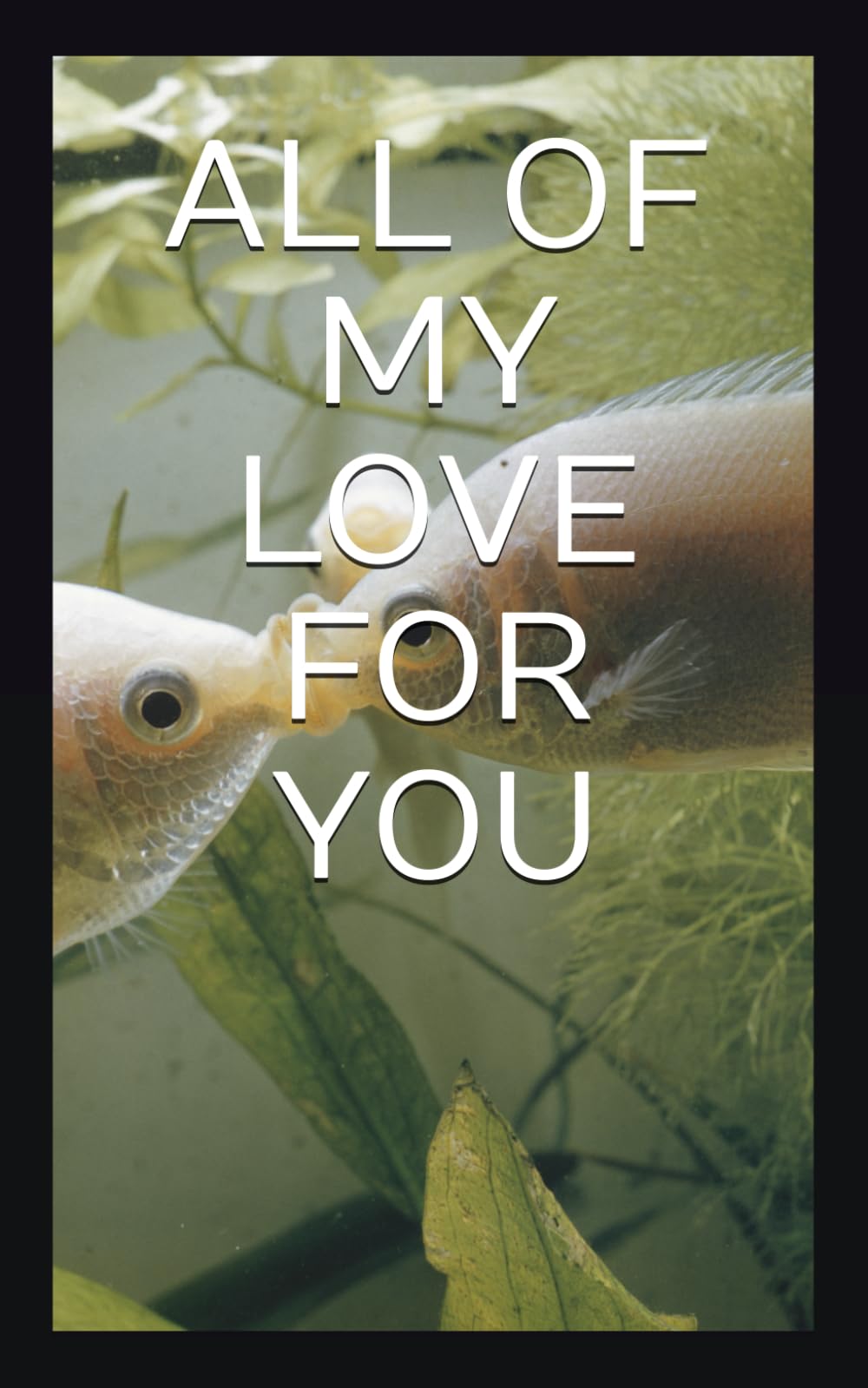 ALL OF MY LOVE FOR YOU