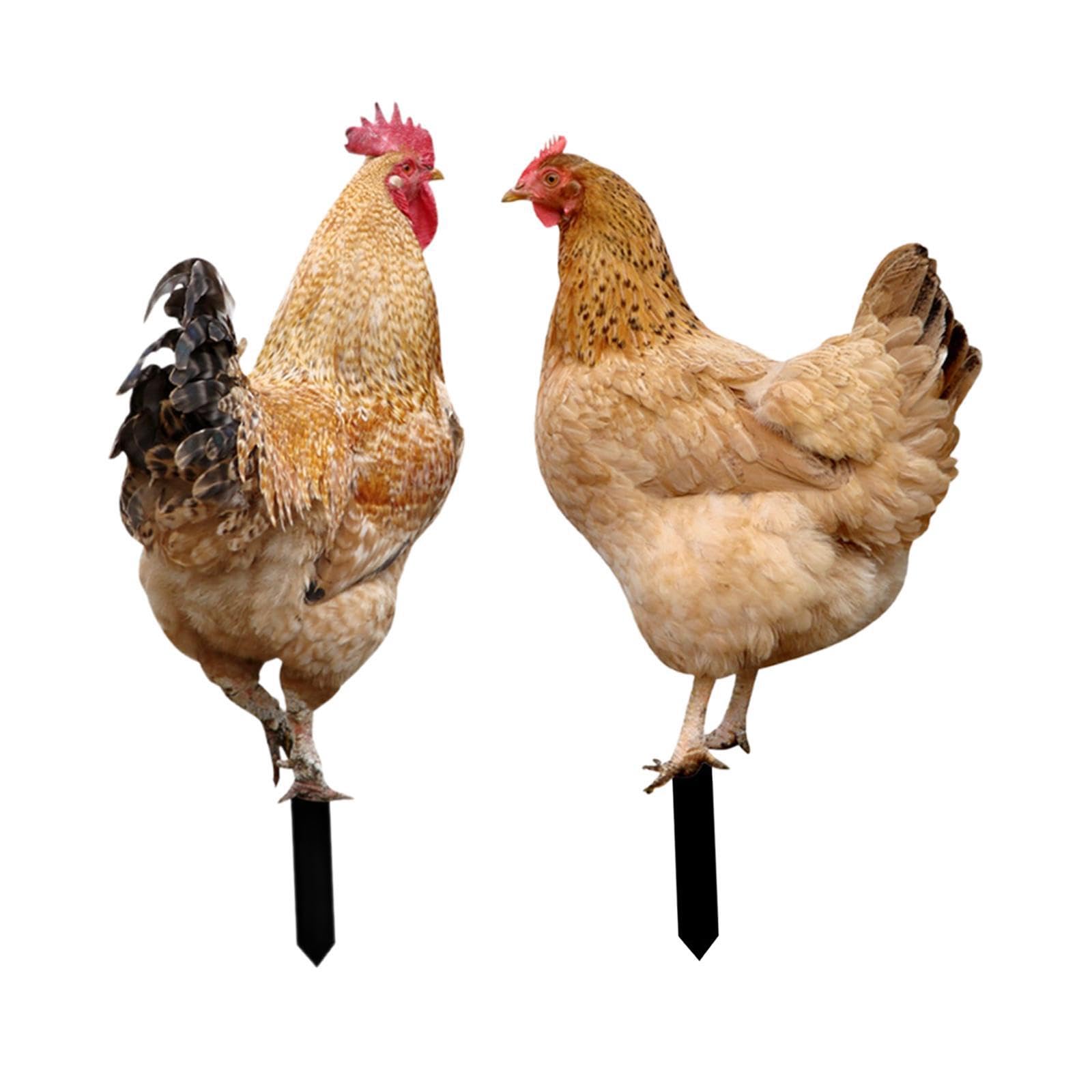 Mophrati Chicken Sculpture Garden Stakes Decorative Garden Statues Add Of Whimsy To Yard Acrylic Chicken Yard Decor Is Gift Animal Statue Stakes Sculpture, Style Ab
