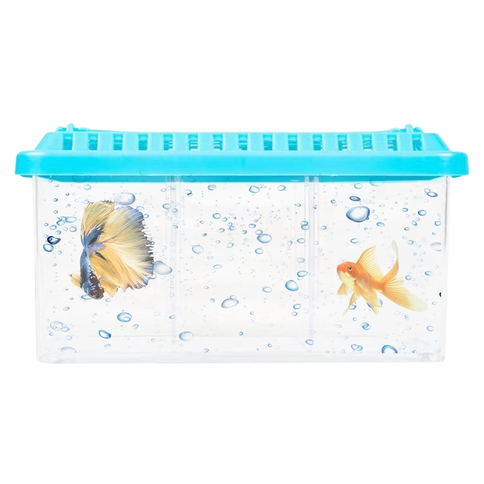 Pecera pequeña,Pecera pequeña Betta - Peceras con divisores extraíbles - Kit de iniciación de acuario con diseño de múltiples compartimentos, pequeño cuenco para peces de acuario para decoración del h