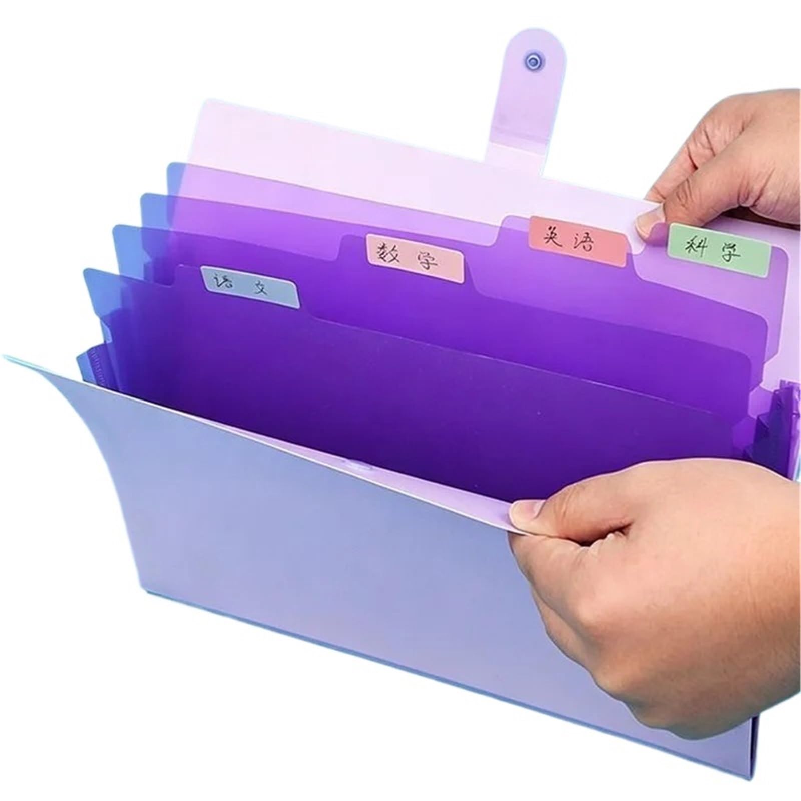 Cartelle A Soffietto Cartelle for documenti formato A4 da 3 tasche con 5 a fisarmonica