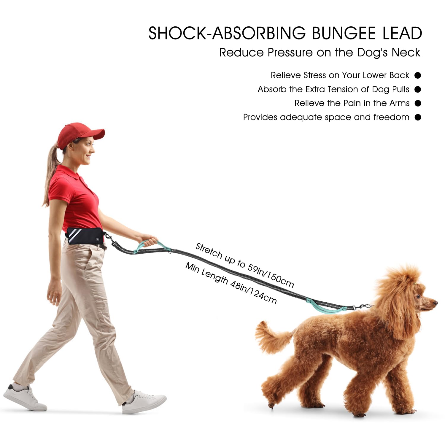 2-in-1 Joggingleine Für Hunde – Freihändig, Mit Bauchgurt, Gepolsterten Griffen & Reflektierenden Nähten, Für Laufen, Wandern & Radfahren