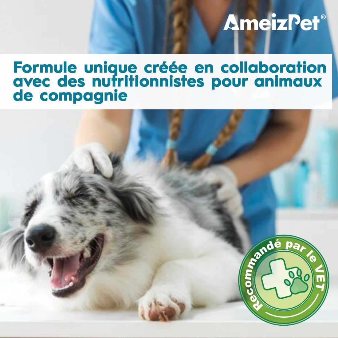 AmeizPet Dog Pré et Probiotiques pour La Santé Intestinale, Biscuits Probiotiques Naturels Chien - Friandises Digestives Probiotique pour La Santé Intestinale du Chien, 30 Friandises