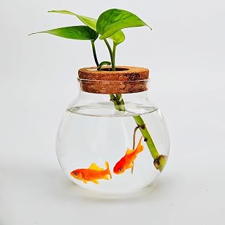 CUSNESTAL Cute Betta Fish Bowl Tank - High Clarity Glass Mini Aquarium for Desktop Decor, Hydroponic Plants & Small Fish
