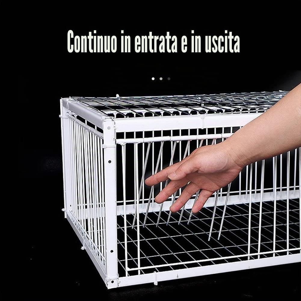 Gabbia per Piccioni a Prova di Fuga, Portatile per Uccelli, Facile da Montare all'Aperto