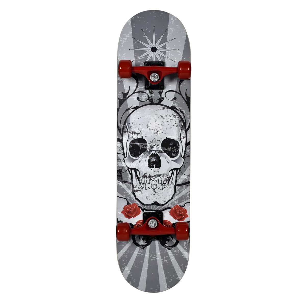 Skate Bois 31'' Double Tail- Truck ALU peint - roues PVC 50 x 36 mm -roulements ABEC 5