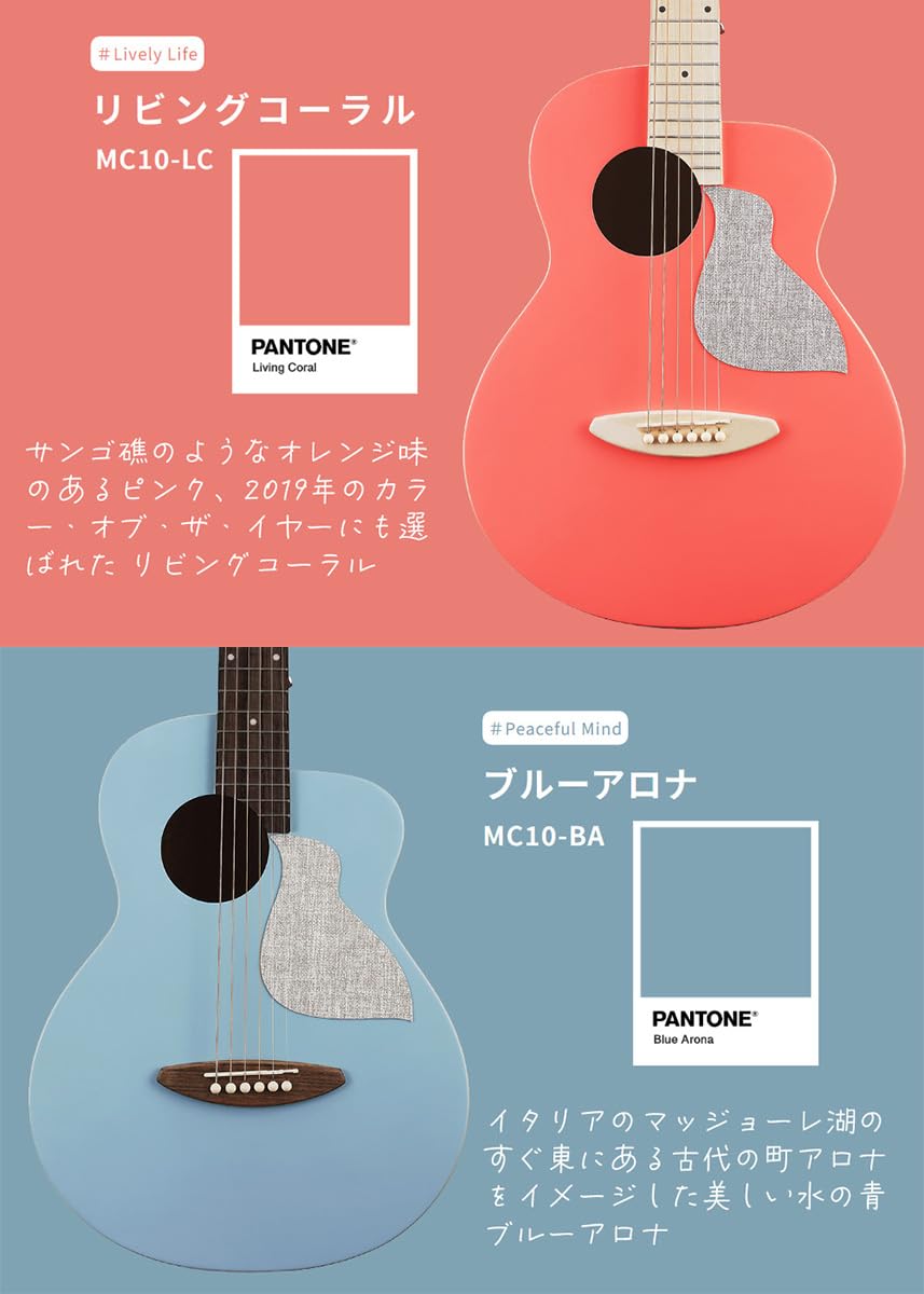 Amazon | aNueNue aNN-MC10 アコースティックギター初心者12点セット 