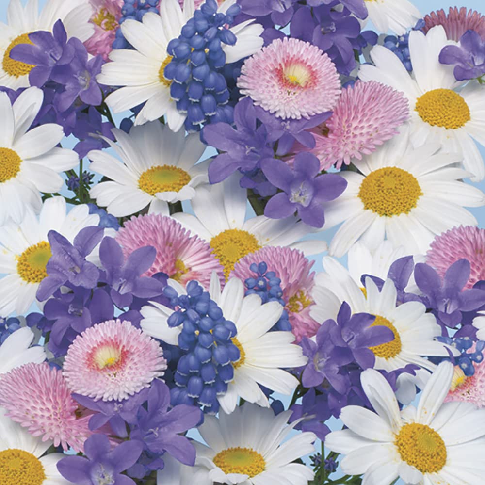 DAISY 3-Ply Flowery Tissue Paper Napkins Serviettes for Decoupage Lunch 33cm x 33cm - Pack of 20 (Sunflowers in The Sky) — view 42