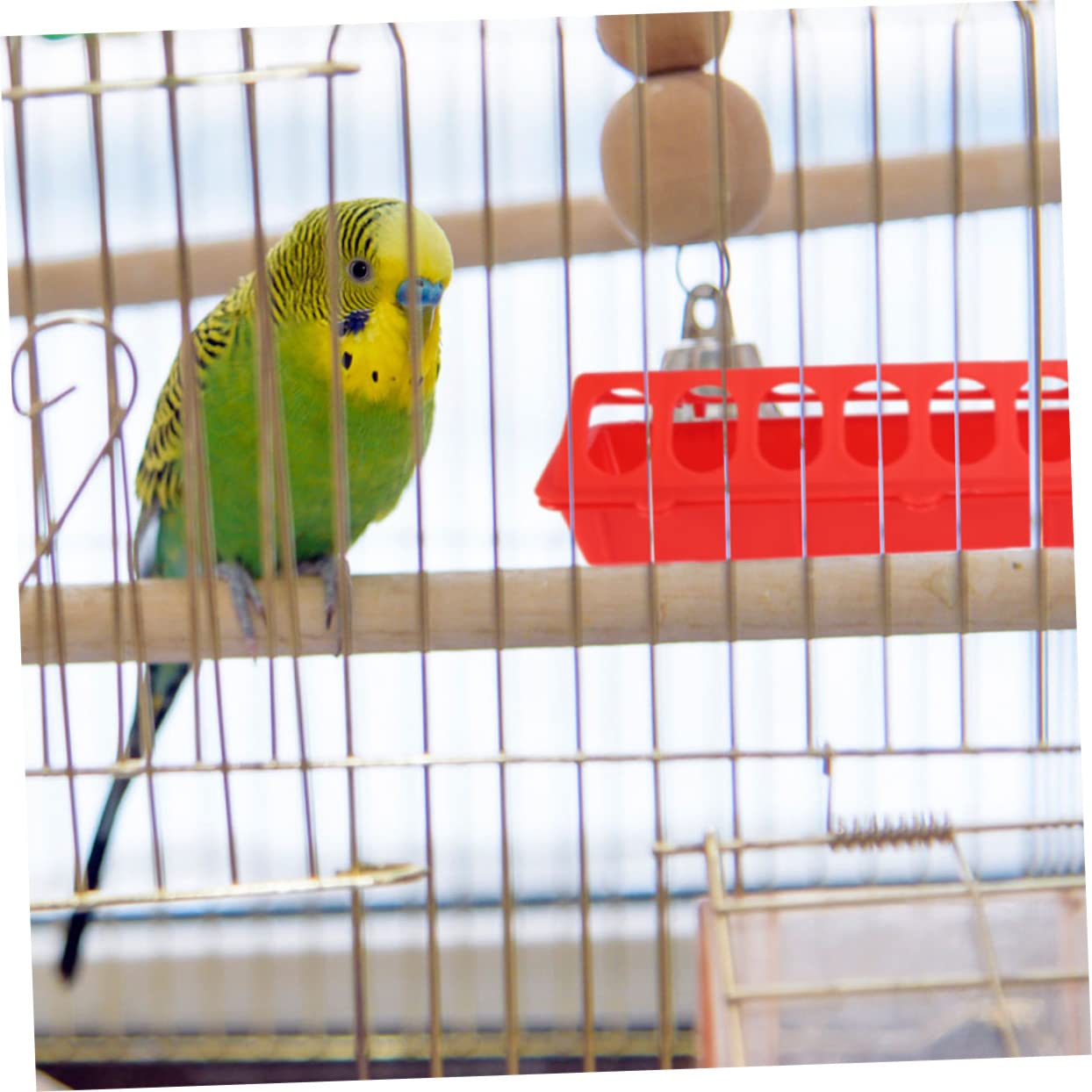 HANABASS Mangiatoia per Piccioni in Plastica 4 Pezzi Mangiatoia Professionale per Canarini e Pappagallini Facile da Pulire per Alimentazione Quotidiana