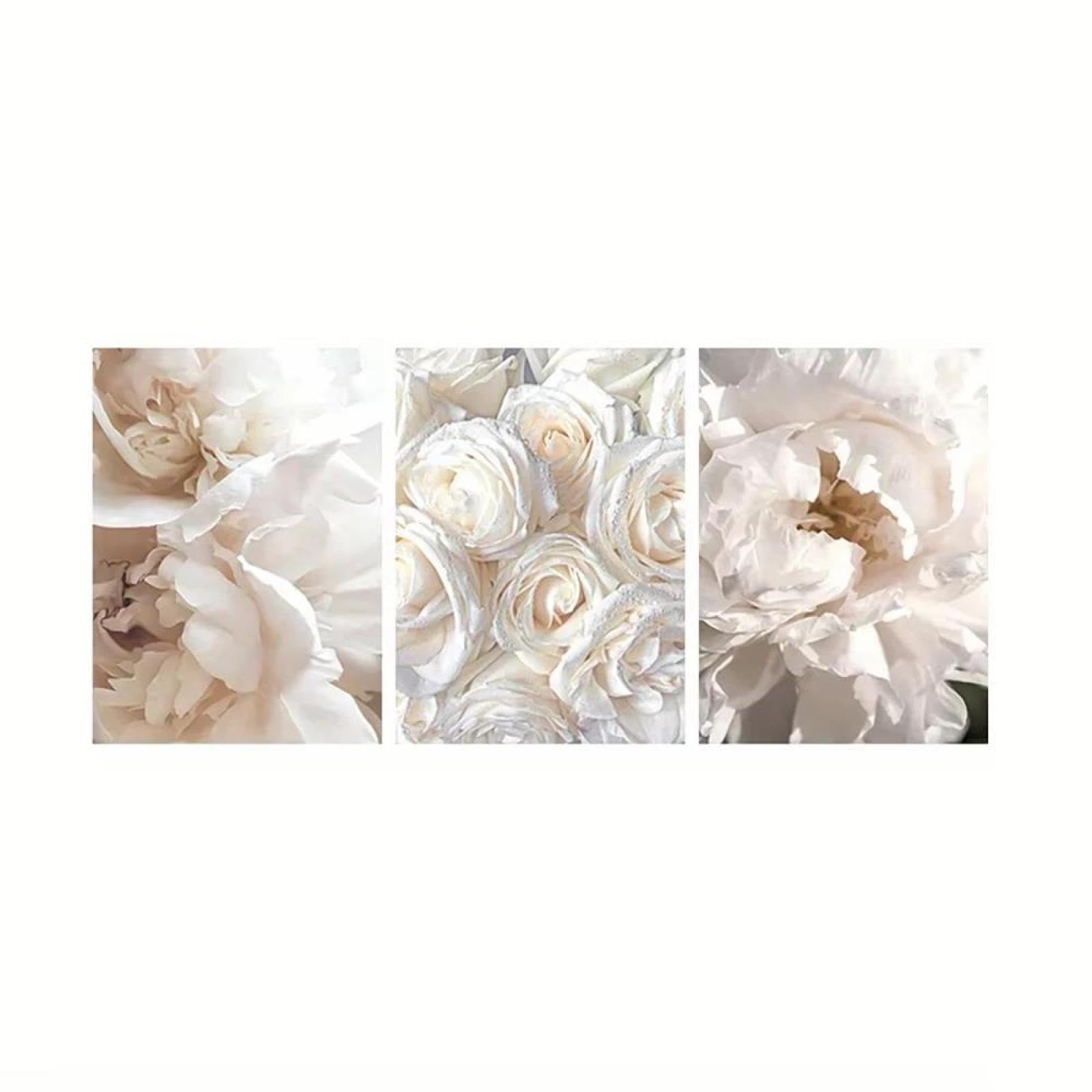 Baibexing Abstract White Flowers Canvas Painting Poster Prints Wall Art Picture For Living Room Home Decor 40X60Cmx3Pcs Unframed