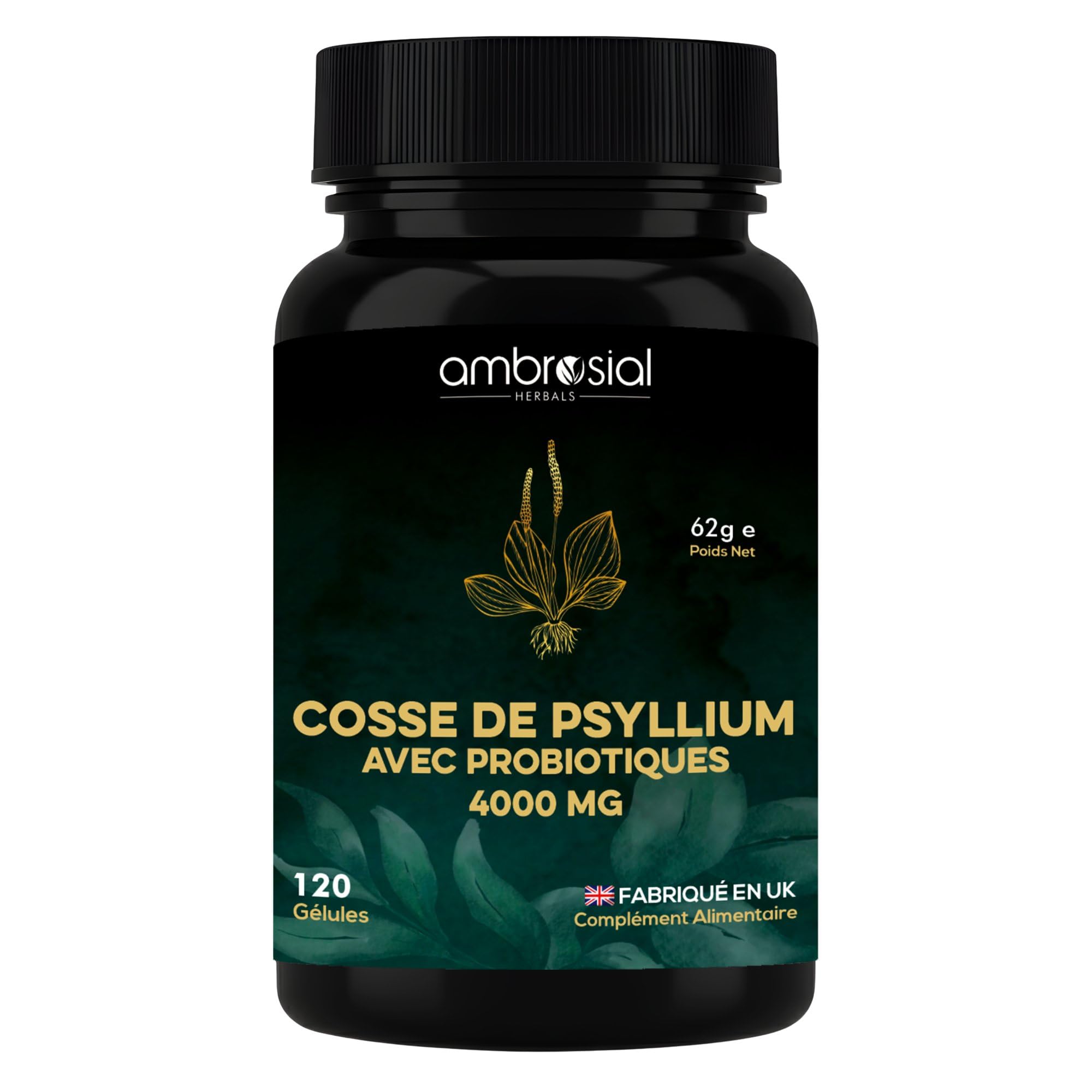 Ambrosial Psyllium Husk 4000 mg avec Probiotiques – Complexe Fibres & Probiotiques 2-en-1 à Base de Plantes – Source Quotidienne de Fibres avec Lactobacillus Acidophilus – 120 Capsules Végan – Sans OG