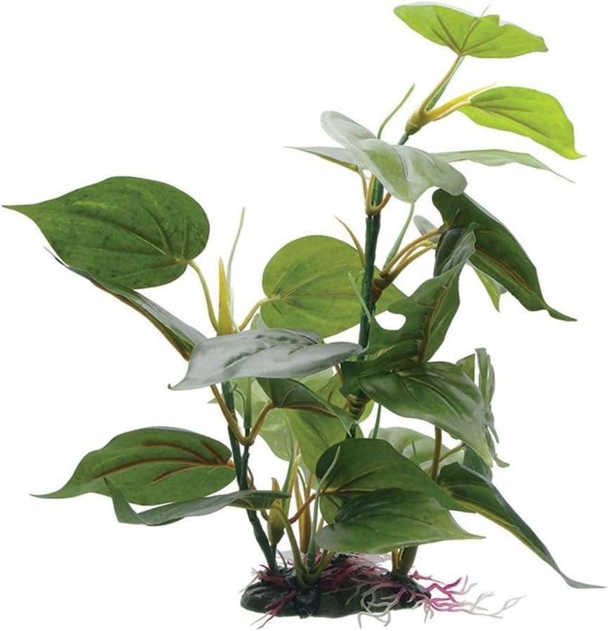Hagen Fluval Anubias Plant for Aquarium, 12-Inch
