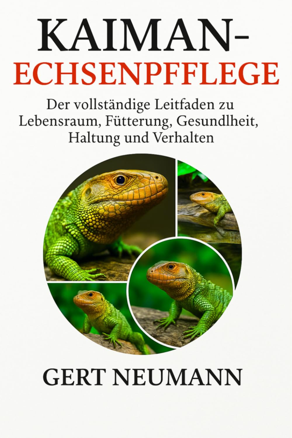 Kaiman-Echsenpflege: Der vollständige Leitfaden zu Lebensraum, Fütterung, Gesundheit, Haltung und Verhalten