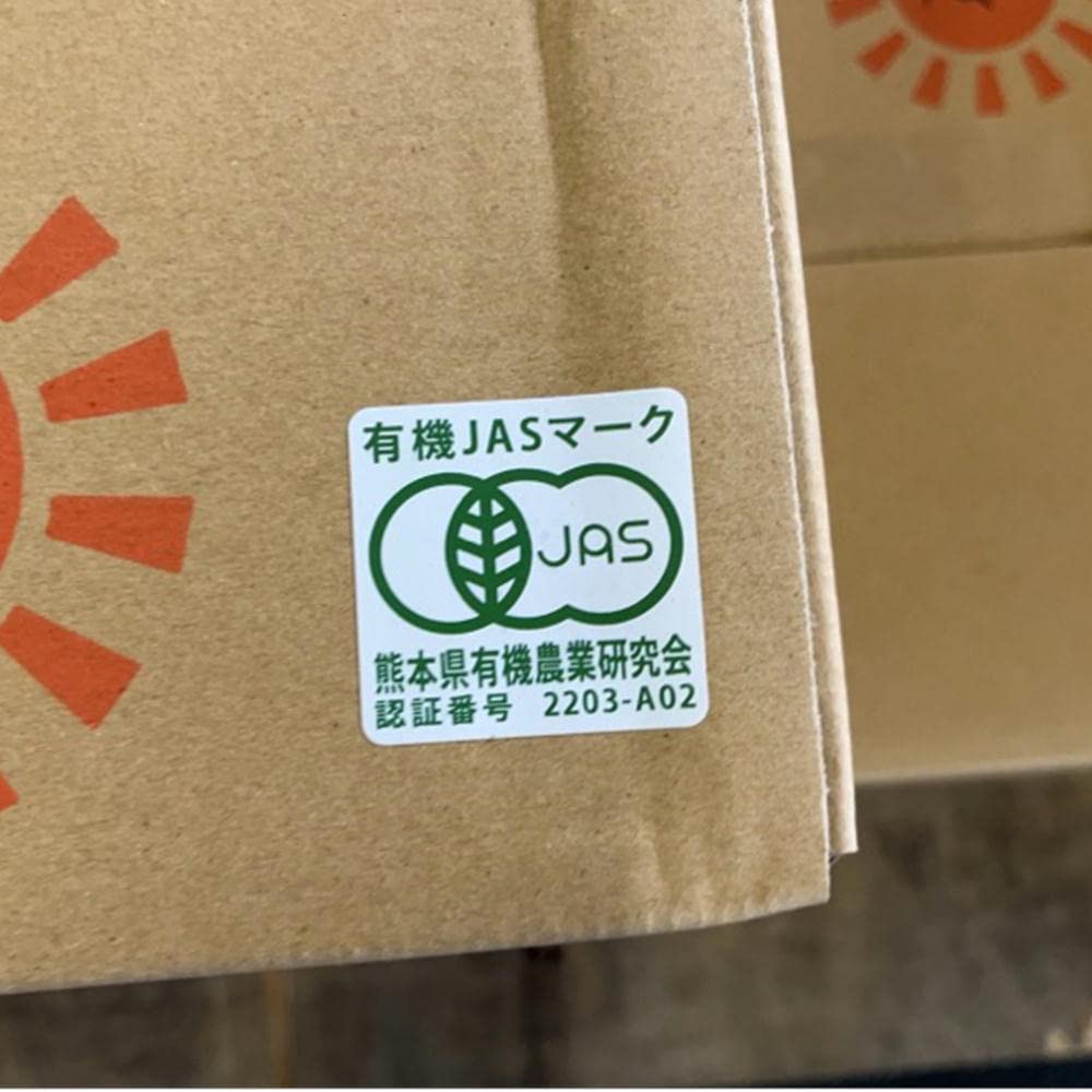 Amazon.co.jp: 自然栽培 無農薬 清見オレンジ 訳あり 約5kg 氏家さん 