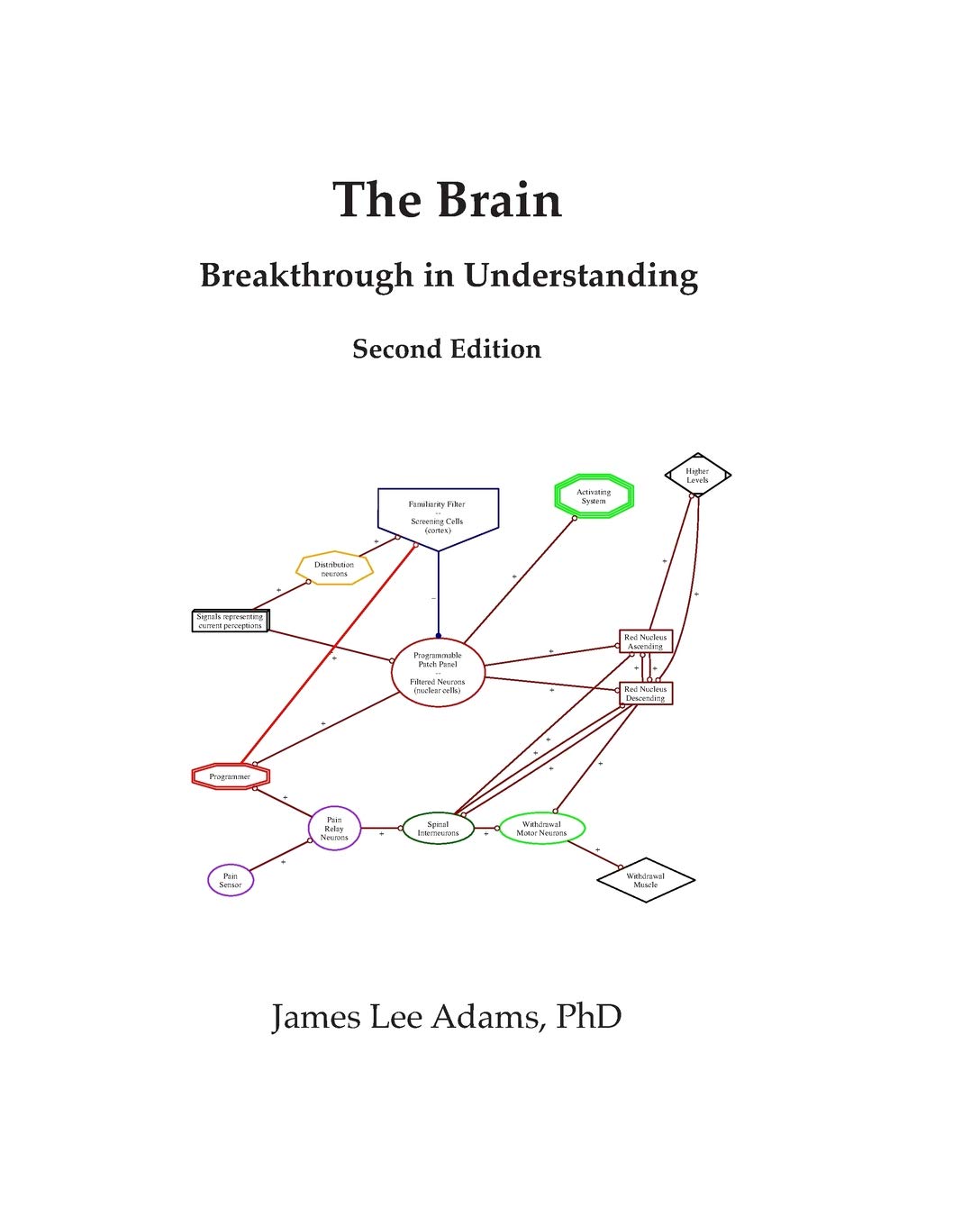 The Brain: Breakthrough in Understanding: Second Edition