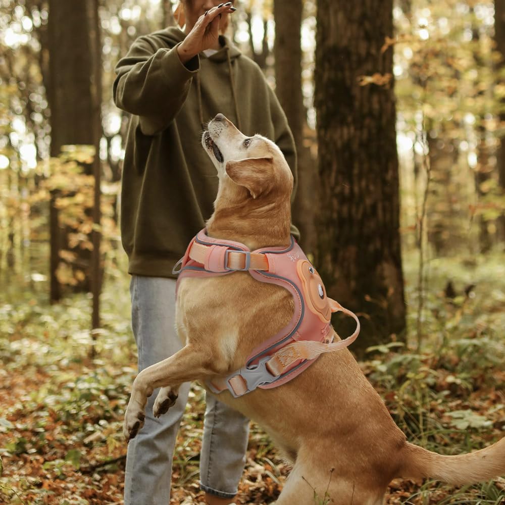 TSPRO Hundegeschirr mit AirTag Halter, Verstellbarer Brustgürtel für Mittelgroße Hunde, mit Komfortablem Griff, Langlebig und Reflektierend für Spaziergänge, Joggen, Training (Orange Größe 4)