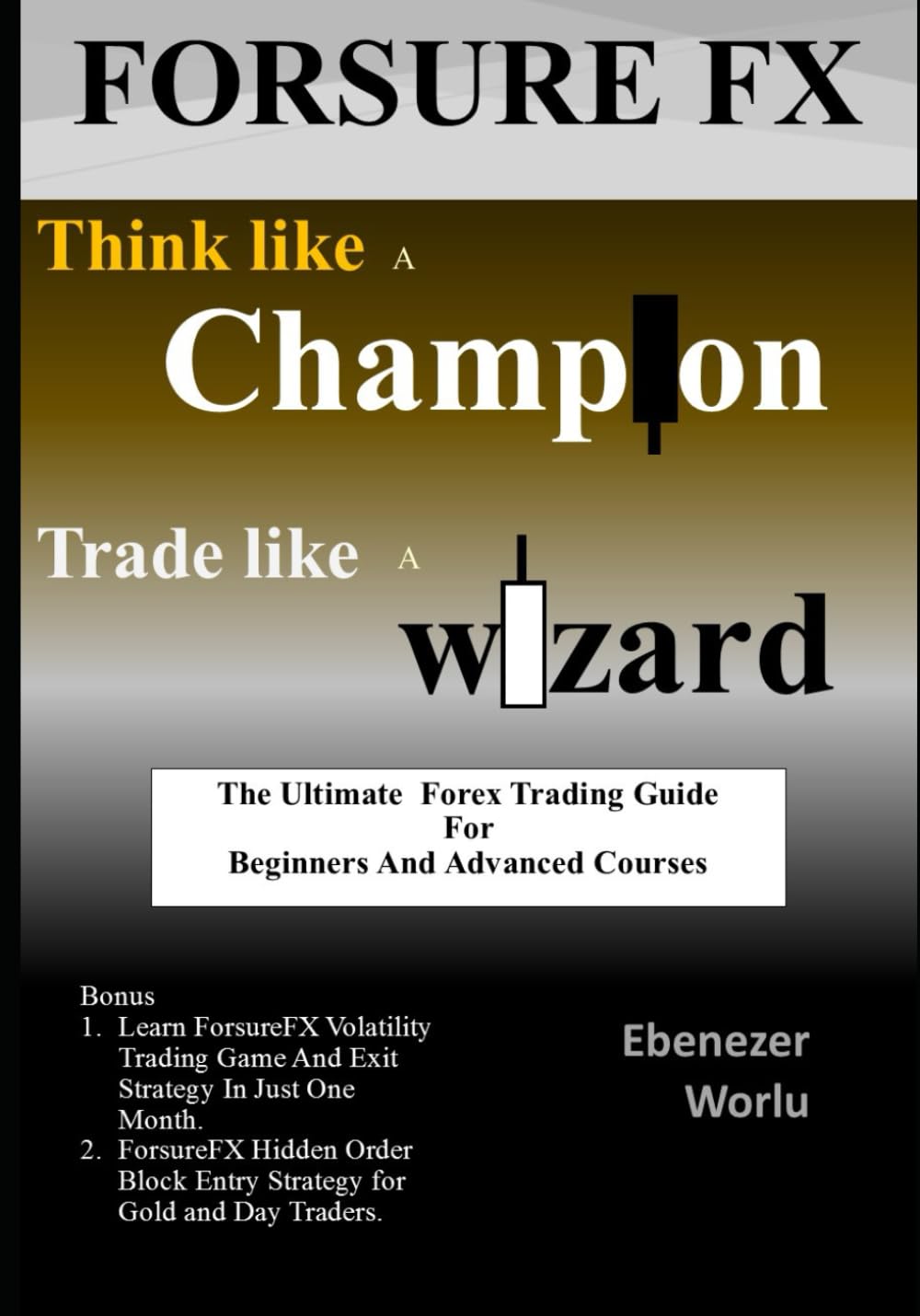Think Like a Champion and Trade Like a Wizard: The ultimate forex trading guide for beginners and and advance course