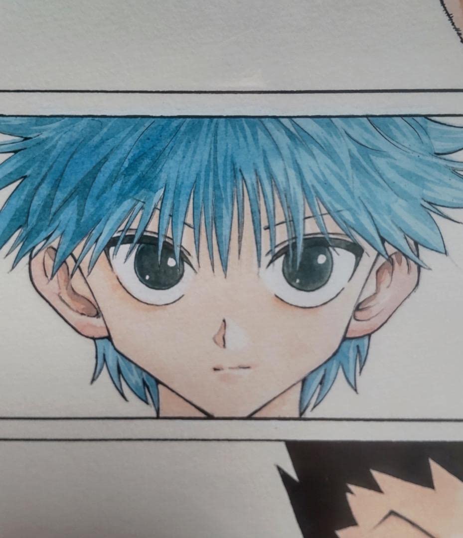 Amazon.co.jp: 受注生産 冨樫義博展 HUNTER×HUNTER 額装高精細 複製  